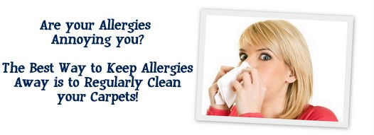 Carpet Cleaning Oakland, CA