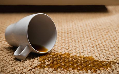 Carpet Cleaning Oakland, CA