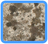 Oakland, CA Water Damage Restoration